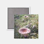 Pacific Northwest Russula Mushroom Magneet (Voorkant / Achterkant)