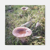 Pacific Northwest Russula Mushroom Magneet (Voorkant)