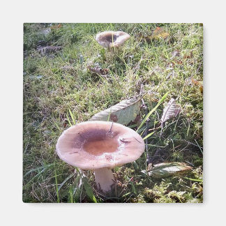 Pacific Northwest Russula Mushroom Magneet