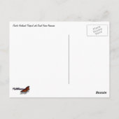 Pacific Northwest Tidepool with Green Anenomes Briefkaart (Achterkant)