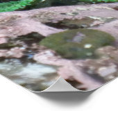 Pacific Northwest Tidepool with Green Anenomes Poster (Hoek)