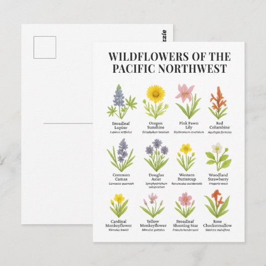Pacific Northwest Wildflowers - Waterverf stijl Briefkaart (Voorkant / Achterkant)