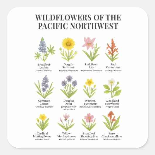 Pacific Northwest Wildflowers - Waterverf stijl Vierkante Sticker (Voorkant)