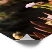 Pacific Ocean Bloemen Fotografie Poster (Hoek)