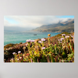 Pacific Ocean Bloemen Fotografie Poster