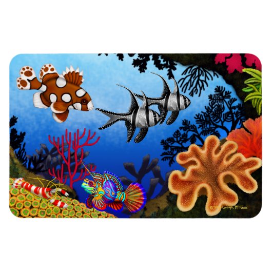 Pacific Ocean Coral Reef Flexi Magnet Magneet (Horizontaal)