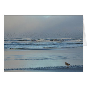 Pacific Ocean Morning Blues