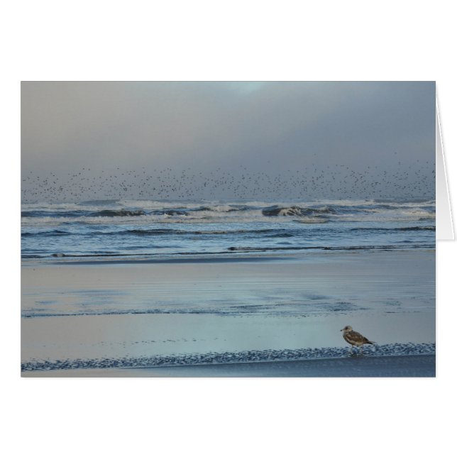 Pacific Ocean Morning Blues (Voorkant Horizontaal)