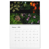 Pacific Orchid Expo Kalender (Feb 2026)