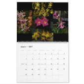 Pacific Orchid Expo Kalender (Mar 2027)