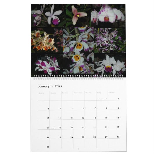 Pacific Orchid Expo Kalender (Jan 2027)