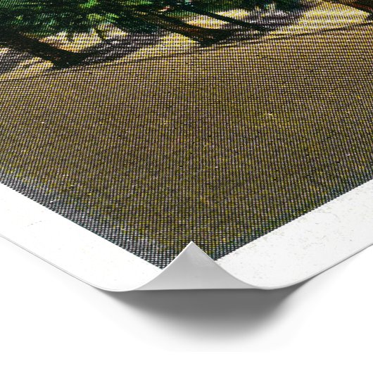 Pacific Park in Long Beach, Californië Poster (Hoek)