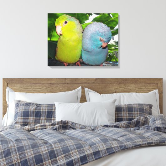 Pacific Parrotlets Amazon Oerwoud verpakt Canvas (Insitu (Slaapkamer))