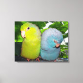 Pacific Parrotlets Amazon Oerwoud verpakt Canvas (Voorkant)