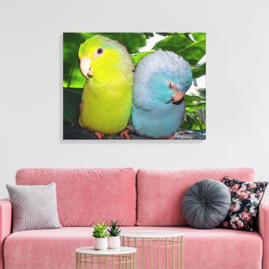 Pacific Parrotlets Amazon Oerwoud verpakt Canvas (Insitu (Woonkamer))