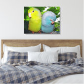 Pacific Parrotlets Amazon Oerwoud verpakt Canvas Afdruk (Insitu (Slaapkamer))