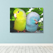 Pacific Parrotlets Amazon Oerwoud verpakt Canvas Afdruk (Insitu (Houten vloer))