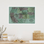 Pacific Railroad Map 1877 Poster (Keuken)