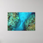 PACIFIC REEF HAAI 40x60 Canvas Afdruk (Voorkant)