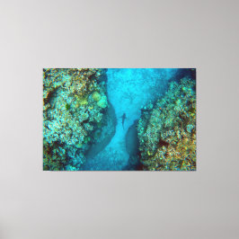 PACIFIC REEF HAAI 40x60 Canvas Afdruk