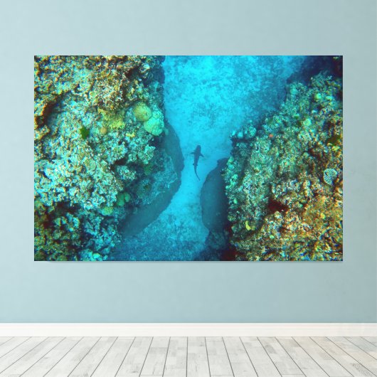 PACIFIC REEF HAAI 40x60 Canvas Afdruk (Insitu (Houten vloer))