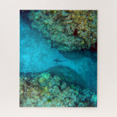 PACIFIC REEF SHARK 16x20 INCH Legpuzzel (Verticaal)