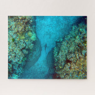 PACIFIC REEF SHARK 16x20 INCH Legpuzzel