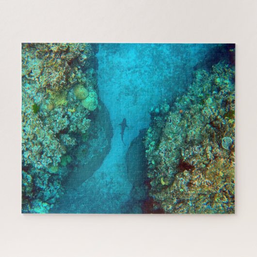 PACIFIC REEF SHARK 16x20 INCH Legpuzzel (Horizontaal)