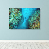 PACIFIC REEF SHARK 16x24 Canvas Afdruk (Insitu (Houten vloer))