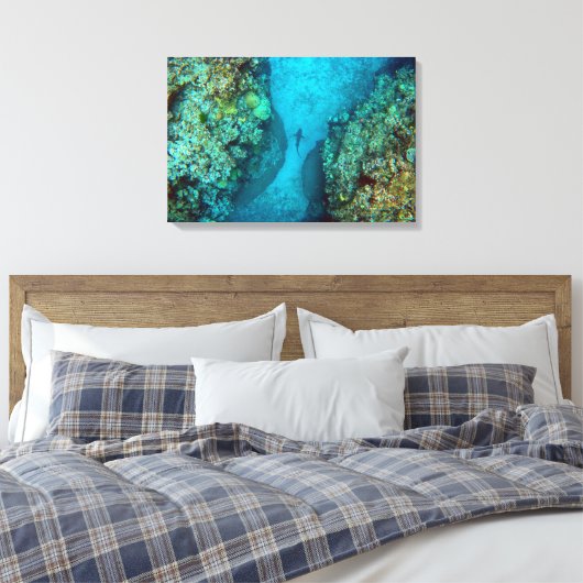 PACIFIC REEF SHARK 16x24 Canvas Afdruk (Insitu (Slaapkamer))