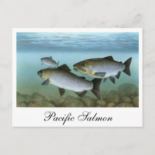Pacific Salmon Painting Briefkaart