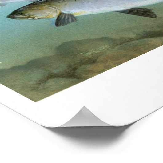 Pacific Salmon Painting Print (Hoek)