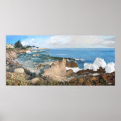 Pacific Splendor Poster (Voorkant)