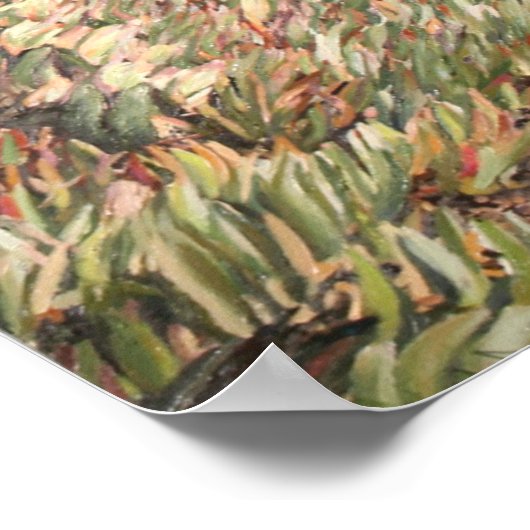 Pacific Splendor Poster (Hoek)