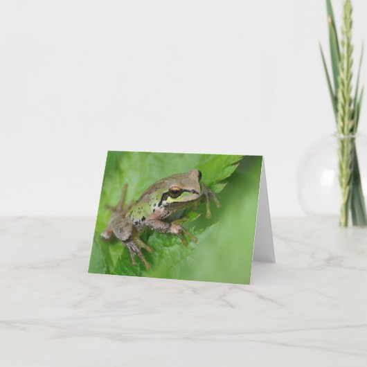 Pacific Tree Frog - Frameable Art Kaart (Voorkant)