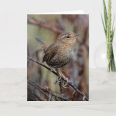 Pacific Wren - Hartelijk dank Bedankkaart (Voorkant)