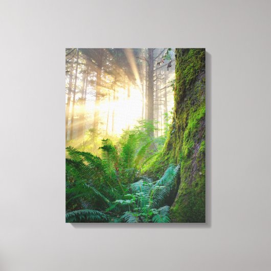 Pacifisch kustbos, Oregon Canvas Afdruk (Voorkant)