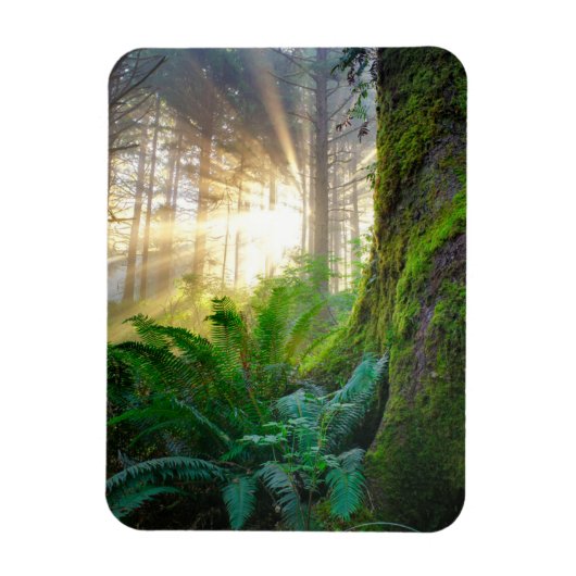 Pacifisch kustbos, Oregon Magneet (Verticaal)