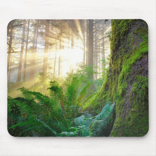 Pacifisch kustbos, Oregon Muismat (Voorkant)