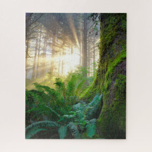 Pacifisch kustwoud, Oregon Legpuzzel
