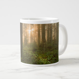 Pacifisch Noordwestelijk Bos Mistige Ochtend Grote Koffiekop