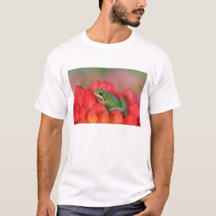 Pacifische boomkikker op bloemen in de tuin t-shirt