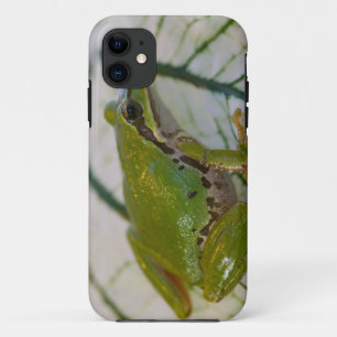 Pacifische boomkikker op bloemen in onze tuin, Case-Mate iPhone case