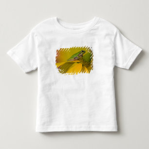 Pacifische boomkikker op bloemen in onze tuin kinder shirts