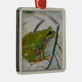 Pacifische boomkikker op bloemen in onze tuin, metalen ornament (Rechts)