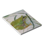 Pacifische boomkikker op bloemen in onze tuin, notitieblok (Schuin)