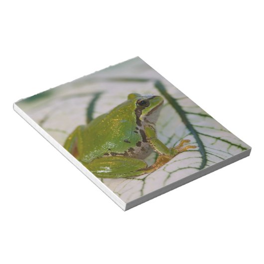 Pacifische boomkikker op bloemen in onze tuin, notitieblok (Schuin)