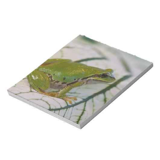 Pacifische boomkikker op bloemen in onze tuin, notitieblok (Linkerzijde)