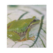 Pacifische boomkikker op bloemen in onze tuin, notitieblok (Voorkant)