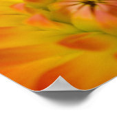 Pacifische boomkikker op bloemen in onze tuin, poster (Hoek)